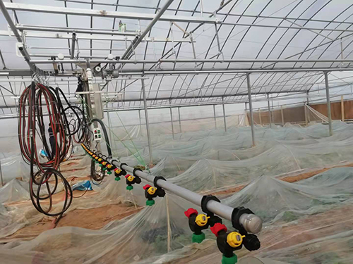 如何防 治溫室育苗的常見病害？